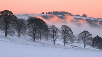 Obraz premium serene winter landscape at dawn with mist and snow covered trees. soft pink hues of sky contrast beautifully with white snow, creating tranquil atmosphere