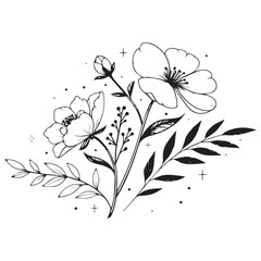 Minimal botanical graphic sketch drawing