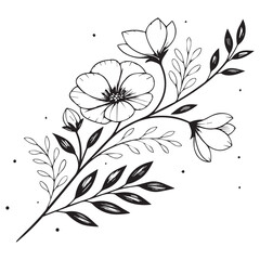 Minimal botanical graphic sketch drawing