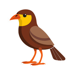 Flat vector illustration of a stylized myna bird with brown body, yellow eye patch, and orange beak, minimalistic design, cartoonish style, plain white background
