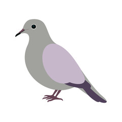 Flat vector illustration of a stylized mourning dove with gray body, lavender wings, and long tail, minimalistic design, plain white background