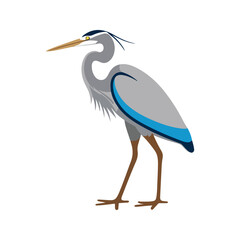 Flat vector illustration of a stylized heron with gray-blue body, long pointed beak, and tall slender legs, minimalistic design, plain white background