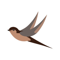 Flat vector illustration of a stylized common swift with brown body, sleek wings, and minimalistic design, plain white background