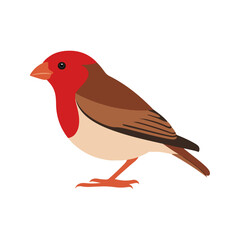 Flat vector illustration of a stylized common finch with red-brown body, short beak, and smooth wings, minimalistic design, plain white background
