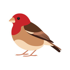 Flat vector illustration of a stylized common finch with red-brown body, short beak, and smooth wings, minimalistic design, plain white background