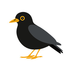 Flat vector illustration of a stylized common blackbird with black body, yellow-orange beak, and wide wings, minimalistic design, plain white background