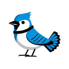 Flat Vector Illustration of Blue Jay with Bold Blue and White Feathers