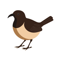 Flat vector illustration of a stylized bulbul with brown body, short curved beak, and medium tail, minimalistic design, plain white background