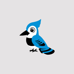 Flat Vector Illustration of Blue Jay with Bold Blue and White Feathers