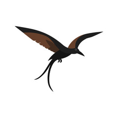 Flat vector illustration of a stylized black kite with brown-black body, forked tail, and sharp beak, minimalistic design, plain white background
