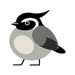 Flat Vector Illustration of BlackCapped Chickadee with Black Cap and Clean Lines