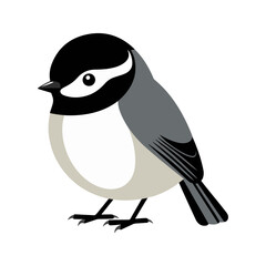 Flat Vector Illustration of BlackCapped Chickadee with Black Cap and Clean Lines