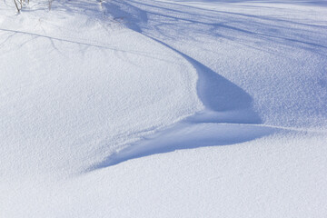 Snow dune with tree shadow forming beautiful pattern