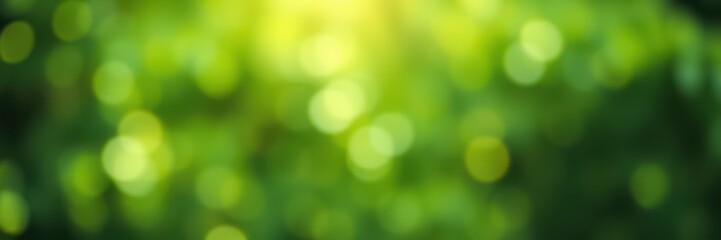 Obraz premium Light filters through green foliage creating a serene and vibrant atmosphere in the forest during a sunny afternoon