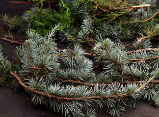 Branches of fir and cedar trees creating a natural festive background