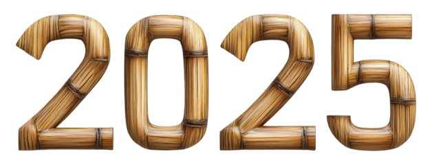 3D text 2025 with bamboo texture