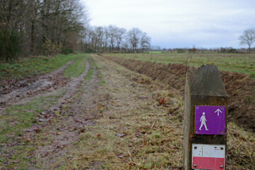 A walking path in the vast landscape of a peat area in Drenthe, the Netherlands. It is National...