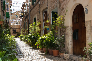 Fototapeta premium Schöne Gasse mit Pflasterstein und Blumentöüpfen im mallorquinischen Bergsorf Valdemossa.