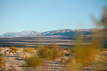 desert landscape