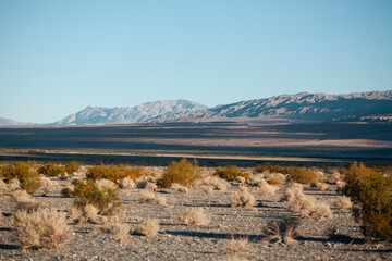 desert landscape