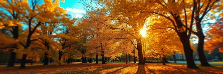 Fototapeta premium Autumn sunlight filtering through vibrant golden foliage in a serene park during late afternoon