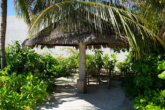 tropical resort