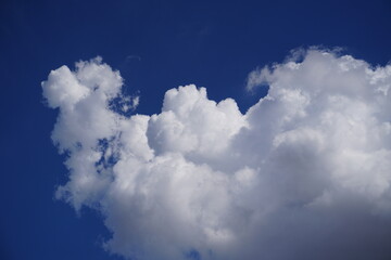 Blue Sky - Céu Azul