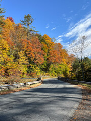 Obraz premium autumn road in the mountains