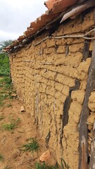 Naklejka premium casa de pau a pique (taipa) no sertão do nordeste brasileiro 