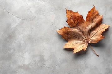 A single, dried maple leaf rests on a textured gray surface.