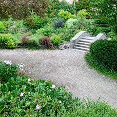 Stone path in garden