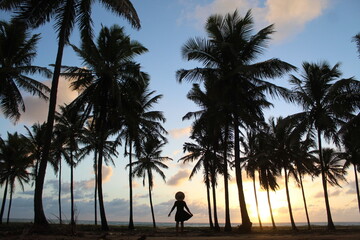 coqueiral em maracaípe, pernambuco