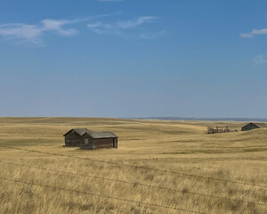 Wheat field and barn