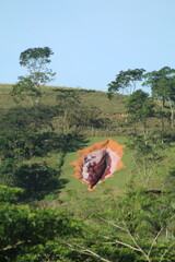 escultura diva de juliana notari na usina de arte em água preta, pernambuco