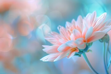 Fototapeta premium Delicate pink petals of a flower capture morning dew glistening under soft sunlight in a serene garden setting during spring