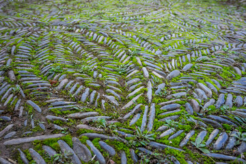 traditional paving forming branches with leaves and flowers, Monastery of Santa María de...