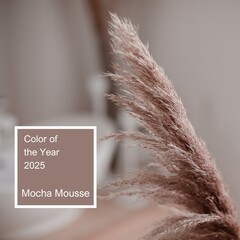 Pampas grass in interior or bathroom. Boho style in natural tones and neutral colors. Color of the Year 2025