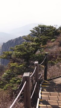 Hallasan National Park, Jeju island, South Korea, spring view of Yeongsil trail with a wooden ladder path stairs, trekking and climbing, stairway to Halla mountain, hiking in Korea, Jeju-do, sunny day