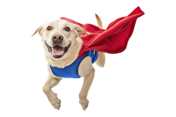 A joyful dog in a superhero costume flying with excitement against a white isolated background.