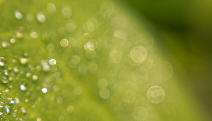 The Art of Blurry Backgrounds in Product Photography. Exploring Blurry Backgrounds: A Photographer's Perspective