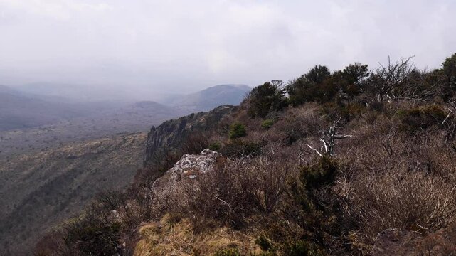 Hallasan National Park, Jeju island, South Korea, spring view of Yeongsil trail with a wooden ladder path stairs, trekking and climbing, stairway to Halla mountain, hiking in Korea, Jeju-do, sunny day