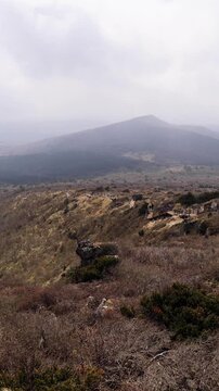 Hallasan National Park, Jeju island, South Korea, spring view of Yeongsil trail with a wooden ladder path stairs, trekking and climbing, stairway to Halla mountain, hiking in Korea, Jeju-do, sunny day