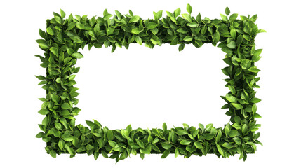 Obraz premium Frame made of fresh green leaves, perfect for eco-themed designs or nature backgrounds.