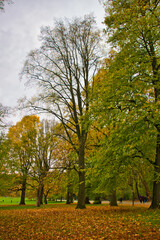 Fototapeta premium Colorful landscape: autumn trees in the park