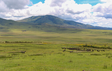 Obraz premium Village in Tanzania, scenic landscpape of Africa.