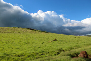 Marvelous horizont view from Tanzania national park.