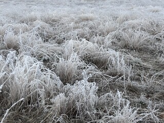 Obraz premium Frosty field during winter in Montana