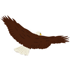 eagle back view on white background , vector
