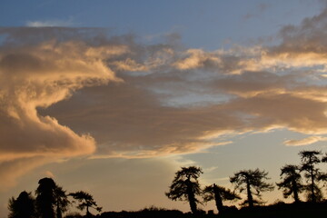 Clouds The SkyBagenalstownMuine Bheag County