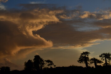 Clouds in the sky.
Bagenalstown(Muine Bheag), County Carlow, Ireland